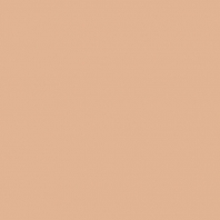 Краска Oikos Фасадная линия ELASTRONG VENEZIA FINE Elas-fine-TL563 коричневый — купить в Москве в интернет-магазине Snabimport