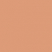 Краска Oikos Фасадная линия ELASTRONG VENEZIA FINE Elas-fine-TL603 коричневый — купить в Москве в интернет-магазине Snabimport
