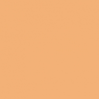 Краска Oikos Фасадная линия ELASTRONG VENEZIA FINE Elas-fine-TL842 оранжевый — купить в Москве в интернет-магазине Snabimport
