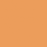 Краска Oikos Фасадная линия ELASTRONG VENEZIA FINE Elas-fine-TL853 коричневый — купить в Москве в интернет-магазине Snabimport