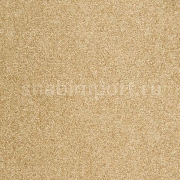 Ковровое покрытие ITC Evolve 37 коричневый — купить в Москве в интернет-магазине Snabimport