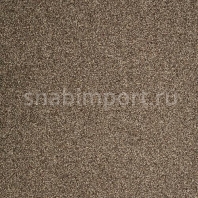 Ковровое покрытие ITC Evolve 49 коричневый — купить в Москве в интернет-магазине Snabimport