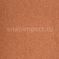 Ковровое покрытие ITC Evolve 65 коричневый — купить в Москве в интернет-магазине Snabimport