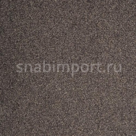 Ковровое покрытие ITC Evolve 94 Серый — купить в Москве в интернет-магазине Snabimport