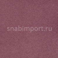 Ковровое покрытие Ideal My Family Collection Excellence 879 фиолетовый — купить в Москве в интернет-магазине Snabimport