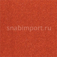 Ковровое покрытие Girloon Extraflor 700 оранжевый — купить в Москве в интернет-магазине Snabimport