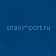 Спортивные покрытия Gerflor Taraflex™ Futsal 4453 — купить в Москве в интернет-магазине Snabimport