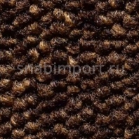 Ковровое покрытие Condor Carpets Fact 156 коричневый — купить в Москве в интернет-магазине Snabimport