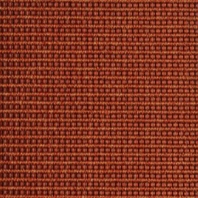 Ковровое покрытие Fletco Fine Line 361600 оранжевый — купить в Москве в интернет-магазине Snabimport
