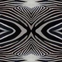 Ковровое покрытие Forbo flotex vision image-000402 zebra — купить в Москве в интернет-магазине Snabimport