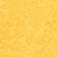 Натуральный линолеум Forbo Marmoleum Fresco-3251 желтый — купить в Москве в интернет-магазине Snabimport