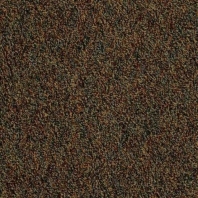 Ковровая плитка Mannington All Star Gametime 1573 коричневый