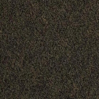Ковровая плитка Mannington All Star Gametime 1575 коричневый