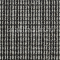 Ковровое покрытие Carpet Concept Goi 3 270510 Серый — купить в Москве в интернет-магазине Snabimport