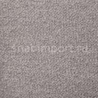 Ковровое покрытие Radici Pietro Bari GRIGIO 2611 Серый — купить в Москве в интернет-магазине Snabimport
