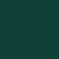 Спортивное полиуретановое покрытие Herculan SR Indoor 6005 зеленый — купить в Москве в интернет-магазине Snabimport