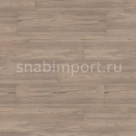 Ламинат Wineo 300 Nordic Pine Modern LA020 коричневый — купить в Москве в интернет-магазине Snabimport