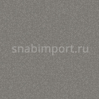 Коммерческий линолеум Tarkett Sprint Pro Matrix 7 — купить в Москве в интернет-магазине Snabimport