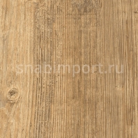 Виниловый ламинат Moduleo Transform Wood Click Latin Pine 24237 — купить в Москве в интернет-магазине Snabimport