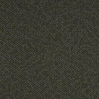 Ковровая плитка Mannington Allegiant Means 45004 коричневый