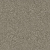 Ковровая плитка Modulyss Millennium Nxtgen 061 Серый