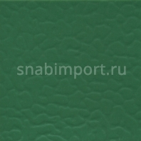 Спортивный линолеум LG Multi Solid MLT6606-01 — купить в Москве в интернет-магазине Snabimport