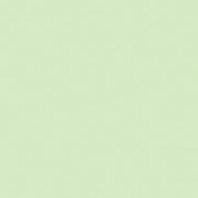 Акриловая краска Oikos Multifund-B755 зеленый — купить в Москве в интернет-магазине Snabimport