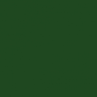 Акриловая краска Oikos Multifund-IN 311 зеленый — купить в Москве в интернет-магазине Snabimport