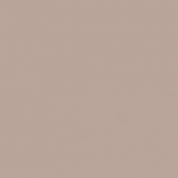 Акриловая краска Oikos Multifund-N1448 коричневый — купить в Москве в интернет-магазине Snabimport