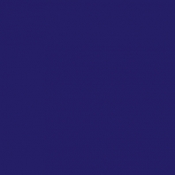 Акриловая краска Oikos Multifund-N218 Фиолетовый — купить в Москве в интернет-магазине Snabimport