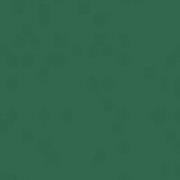 Акриловая краска Oikos Multifund-N528 зеленый — купить в Москве в интернет-магазине Snabimport