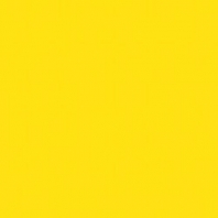 Акриловая краска Oikos Multifund-N818 желтый — купить в Москве в интернет-магазине Snabimport
