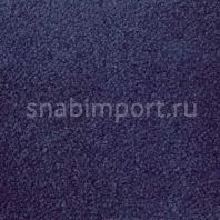 Ковровое покрытие Radici Pietro Bari NAVY 2617 Фиолетовый — купить в Москве в интернет-магазине Snabimport