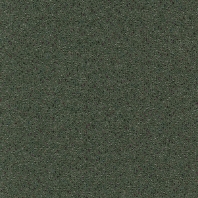 Ковровая плитка Tapibel New Melody-37470 зеленый