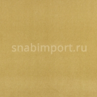 Ковровое покрытие Ideal My Family Collection Noblesse 508 желтый — купить в Москве в интернет-магазине Snabimport