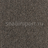 Ковровая плитка Tecsom 3620 Pointe 00076 коричневый — купить в Москве в интернет-магазине Snabimport