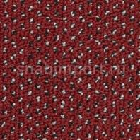 Ковровое покрытие Condor Carpets Pacific 20 Красный — купить в Москве в интернет-магазине Snabimport