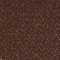 Рулонный грязезащитный ковер Rinos Panthera 981 коричневый — купить в Москве в интернет-магазине Snabimport