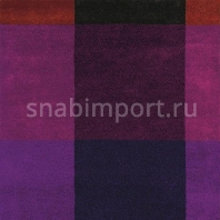 Ковер Ted Baker Plaid Burgundy 57805 Фиолетовый — купить в Москве в интернет-магазине Snabimport