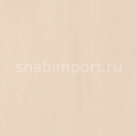 Специальное покрытие для стен Polyflor Polyclad Pro PU 4092 Biscuit Beige — купить в Москве в интернет-магазине Snabimport