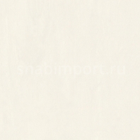 Специальное покрытие для стен Polyflor Polyclad Pro PU 4093 White Chalk — купить в Москве в интернет-магазине Snabimport