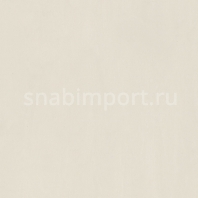 Специальное покрытие для стен Polyflor Polyclad Pro PU 4094 Frosted Grey — купить в Москве в интернет-магазине Snabimport