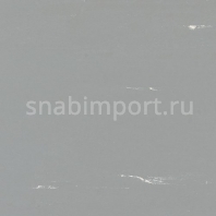 Виниловый ламинат Polyflor Polyflex Plus PU 6130 Pearl Grey — купить в Москве в интернет-магазине Snabimport