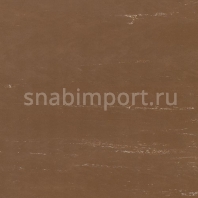 Виниловый ламинат Polyflor Polyflex Plus PU 6180 Walnut — купить в Москве в интернет-магазине Snabimport