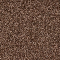 Грязезащитное покрытие Rinos Prisma-901 коричневый