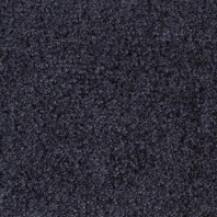 Грязезащитное покрытие Rinos Prisma-905 синий