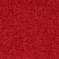 Грязезащитное покрытие Rinos Prisma-909 Красный
