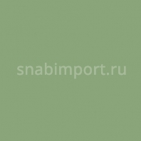 Полиуретановое покрытие EPI PU-Sport с плавающим основанием для универсальных спортивных залов PU-Sport-6021p зеленый — купить в Москве в интернет-магазине Snabimport