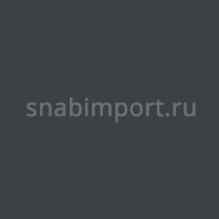 Полиуретановое покрытие для универсальных спортивных залов EPI PU-Sport 7024 чёрный — купить в Москве в интернет-магазине Snabimport
