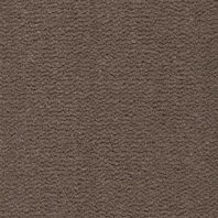 Ковровое покрытие Bestwool Pure Tasman Pure Tasman 131 коричневый — купить в Москве в интернет-магазине Snabimport